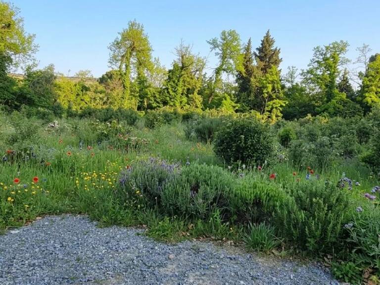 Terrain viabilisé — photo 1