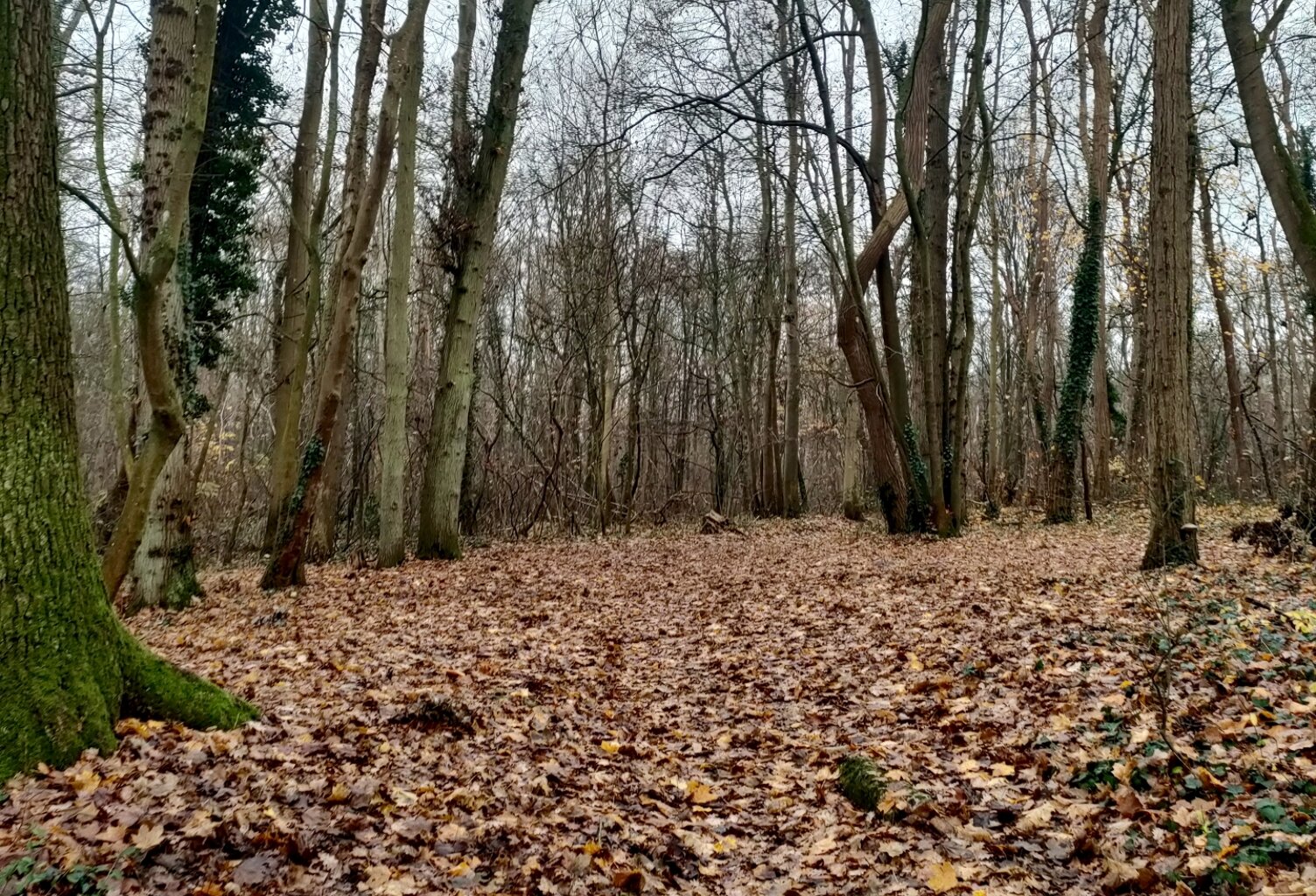 Vente Terrain 7 227 m&sup2; — photo 1