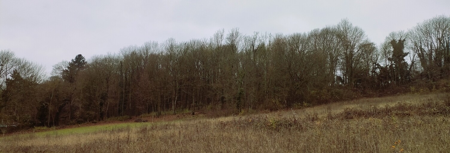 Photo N° 2