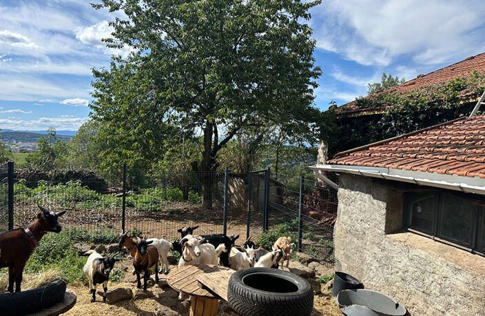 Grange à SAINT JEAN BONNEFONDS — photo 3