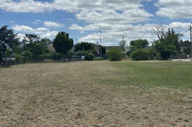 Terrain  300000 €