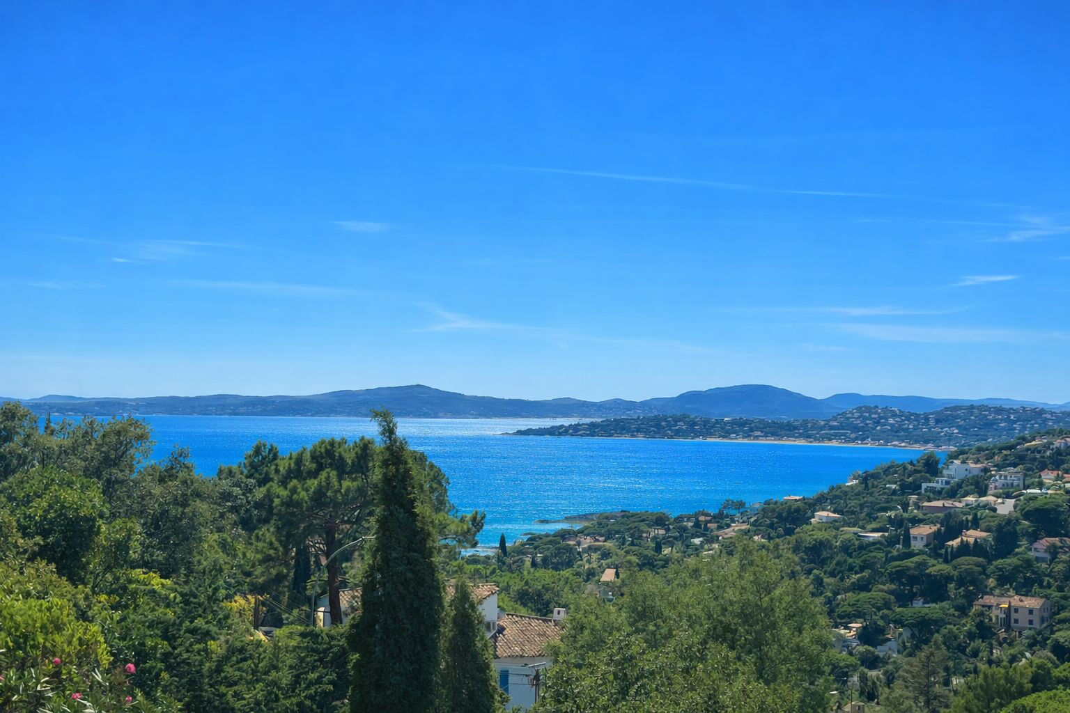 Photo n°1