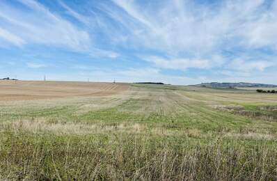 TERRAIN SUD AUXERRE — photo du bien