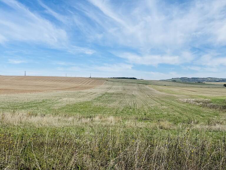 TERRAIN SUD AUXERRE — photo 1