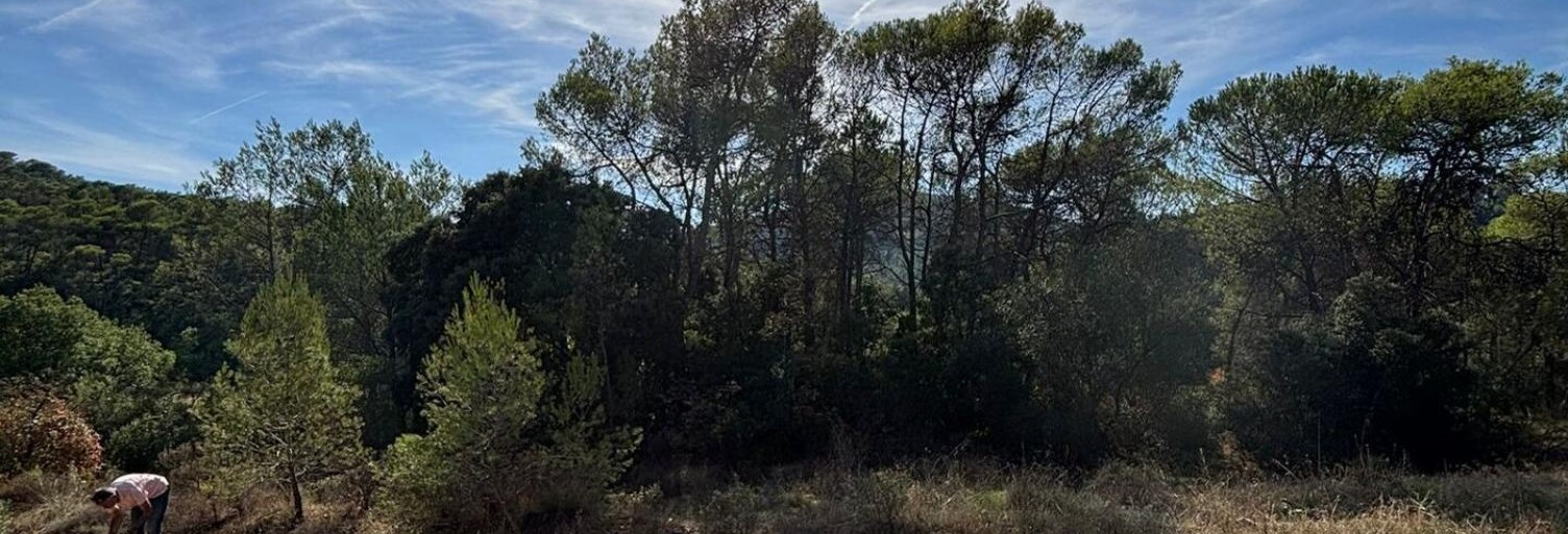 Terrain  5350 m² à vendre à Sainte-Anastasie-sur-Issole (83136)