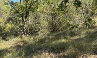 Terrain  23020 m² à vendre à Sainte-Anastasie-sur-Issole (83136)