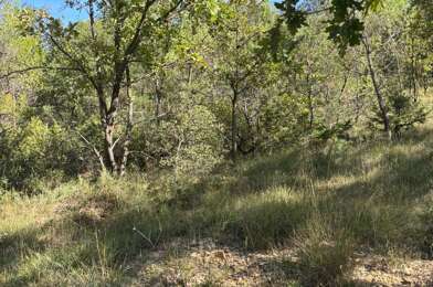 Terrain  15000 €