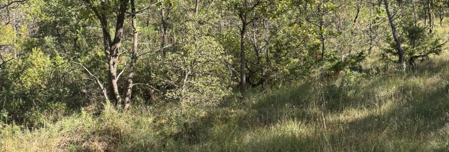 Terrain  23020 m² à vendre à Sainte-Anastasie-sur-Issole (83136)