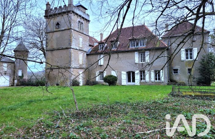 Vente Château 18 pièces — photo 2