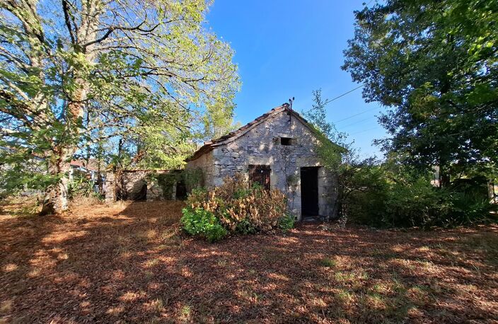 Maison en pierre avec des dépendances — photo 5