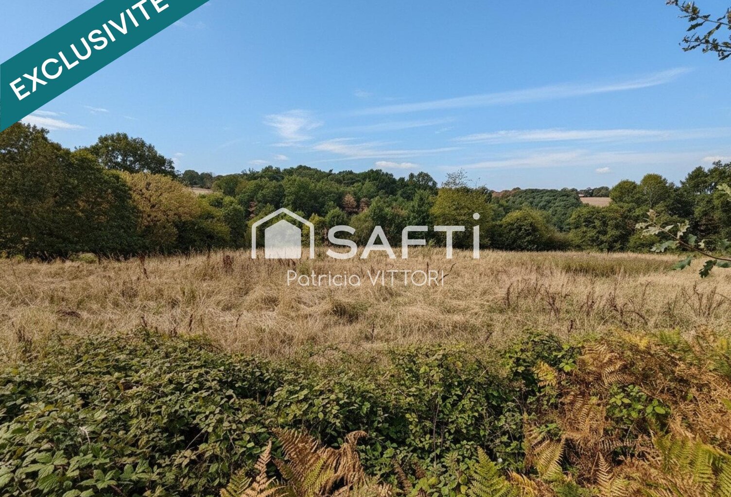 Terrain agricole libre, actuellement en prairie, 5 390 m², Chailland — photo 1