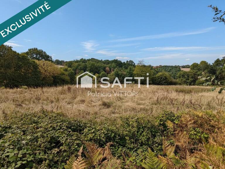 Terrain agricole libre, actuellement en prairie, 5 390 m², Chailland — photo 1