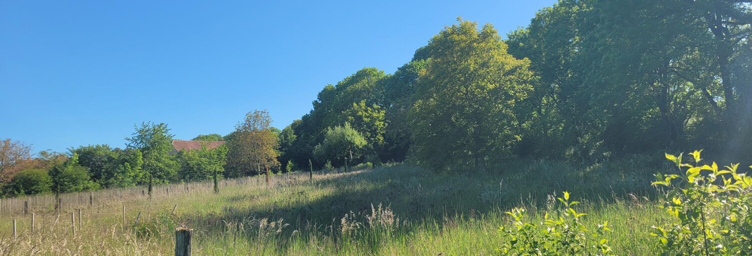 Terrain  2968 m² à vendre à Minot (21510)