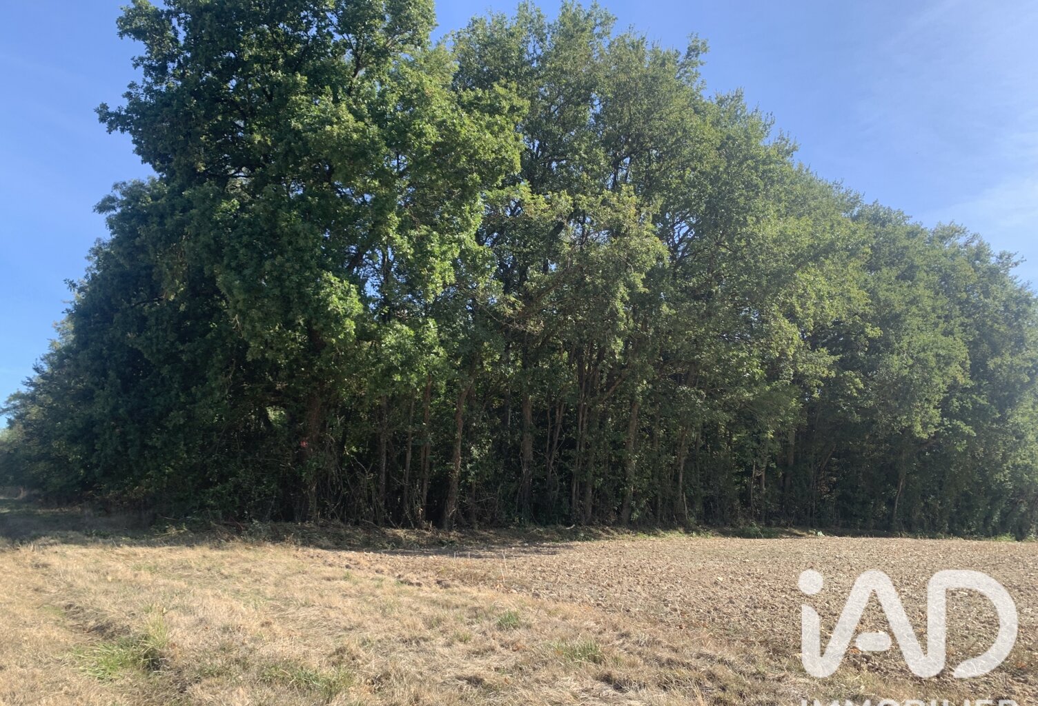 Vente Terrain 33 331 m&sup2; — photo 1