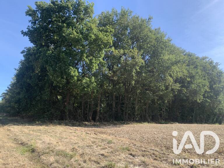 Vente Terrain 33 331 m&sup2; — photo 1