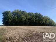 Vente Terrain 33 331 m&sup2; — photo 2