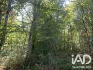 Vente Terrain 33 331 m&sup2; — photo 3