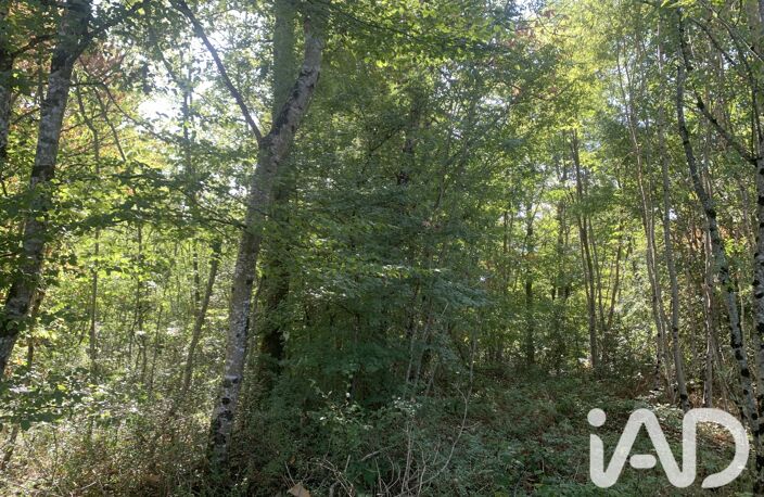 Vente Terrain 33 331 m&sup2; — photo 3
