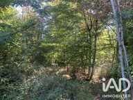 Vente Terrain 33 331 m&sup2; — photo 4