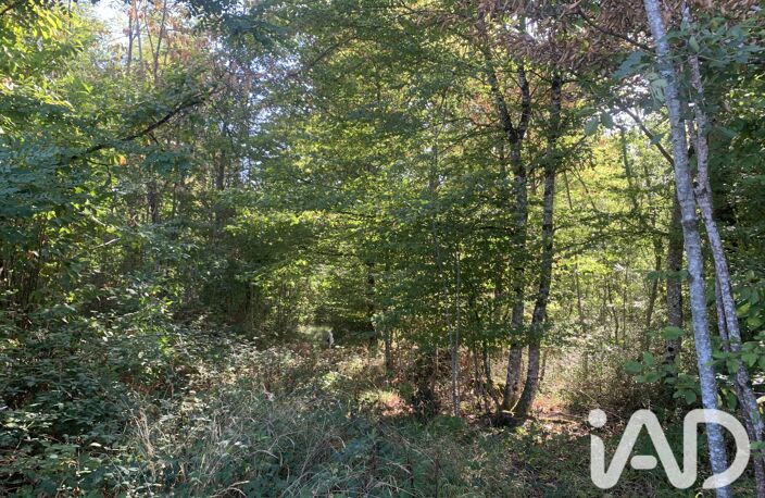 Vente Terrain 33 331 m&sup2; — photo 4