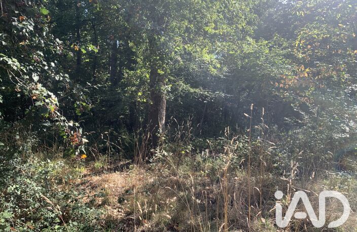 Vente Terrain 33 331 m&sup2; — photo 5