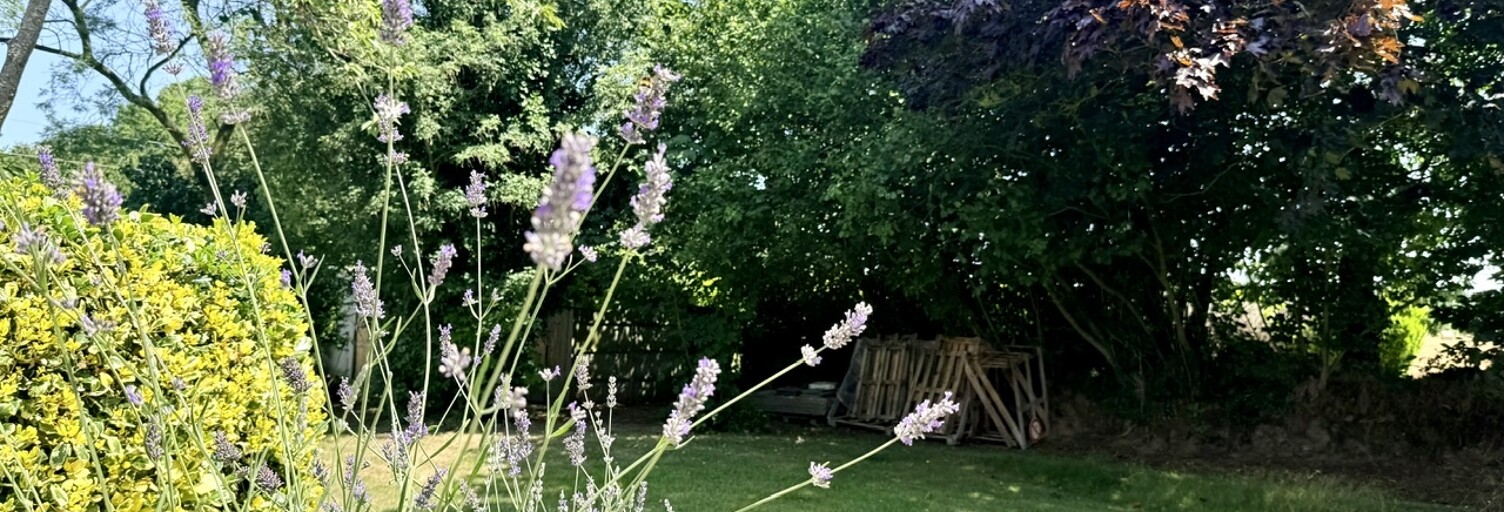 Photo N° 2