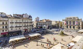 Appartement 1 Pièce 35 m² à louer à Montpellier (34000)