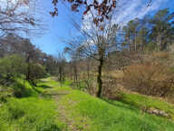 MAISON CONTEMPORAINE SUR 3 500 M2 DE TERRAIN — photo 4
