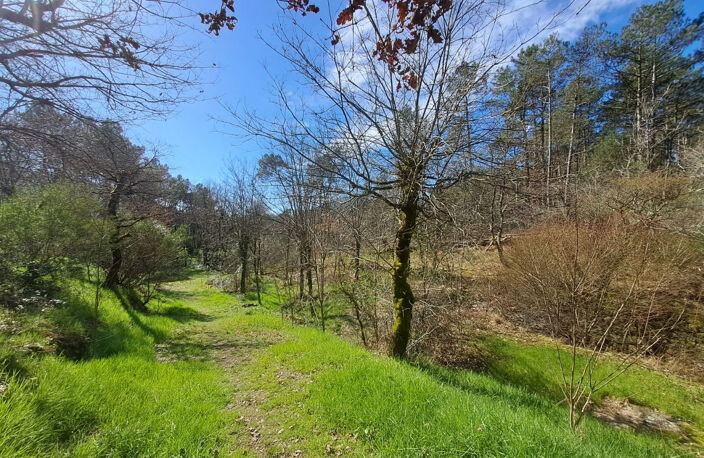 MAISON CONTEMPORAINE SUR 3 500 M2 DE TERRAIN — photo 4