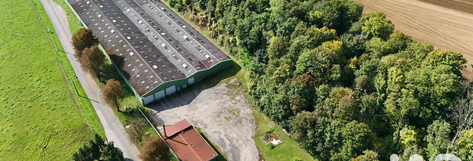 Commerce  7000 m² à vendre à Bourbonne-les-Bains (52400)