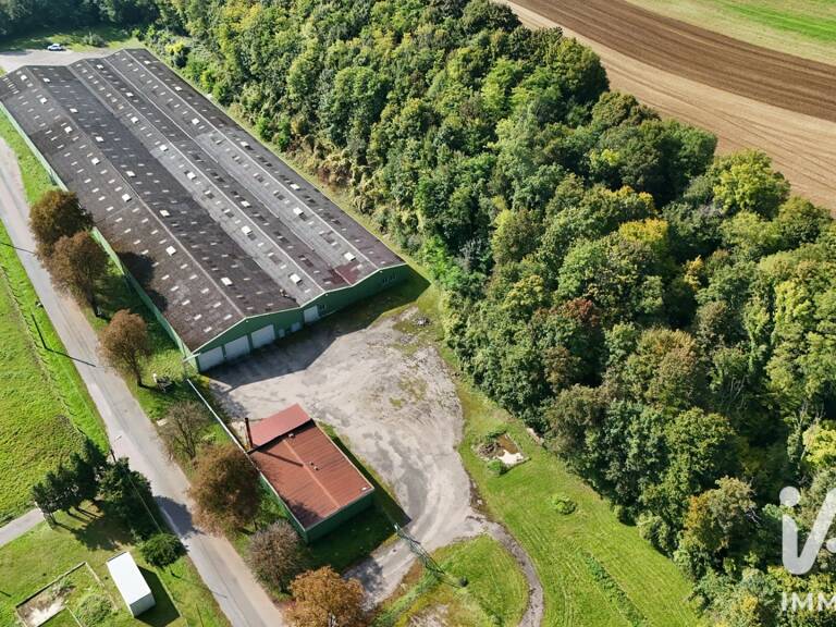 Vente Boutique/Local commercial 7 000 m&sup2; — photo 1