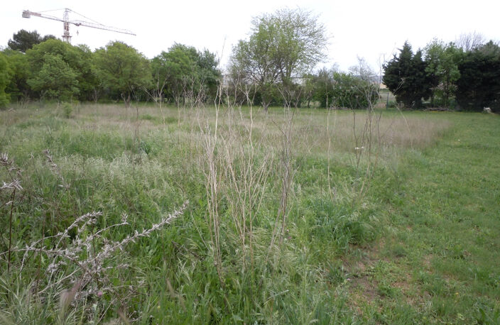 Saint Victoret   Terrain de 7 235m2 — photo 5