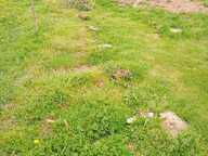 Vente Terrain à bâtir 500 m&sup2; — photo 3