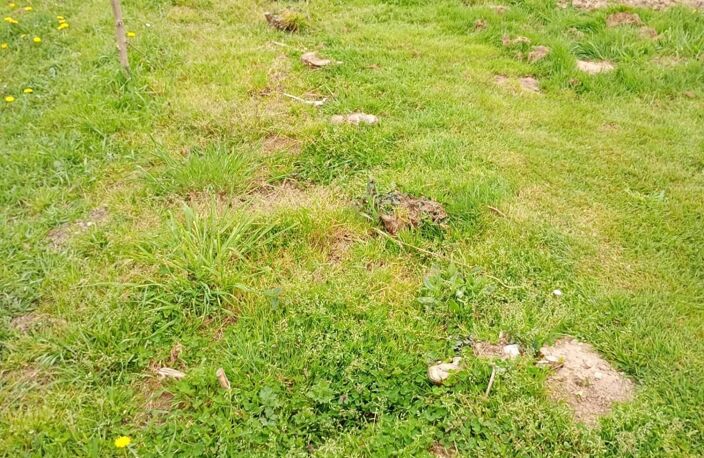 Vente Terrain à bâtir 500 m&sup2; — photo 3