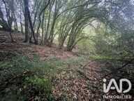 Vente Terrain 4 275 m&sup2; — photo 2