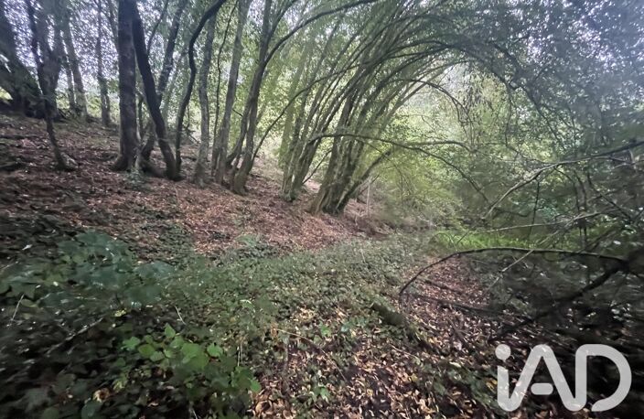 Vente Terrain 4 275 m&sup2; — photo 2