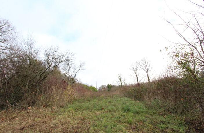 Sortie Nord de La Charité sur Loire — photo 2