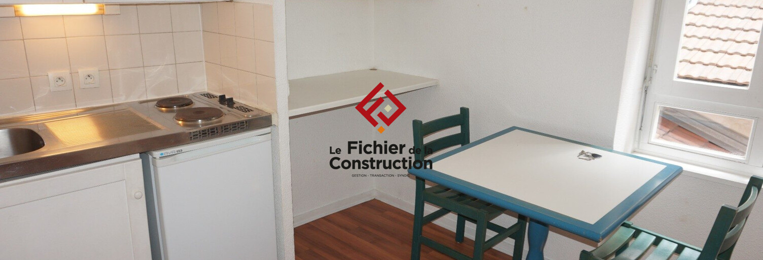 Appartement 1 Pièce 26 m² à louer à Grenoble (38000)