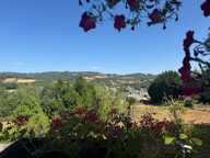 CORREZE — photo 2