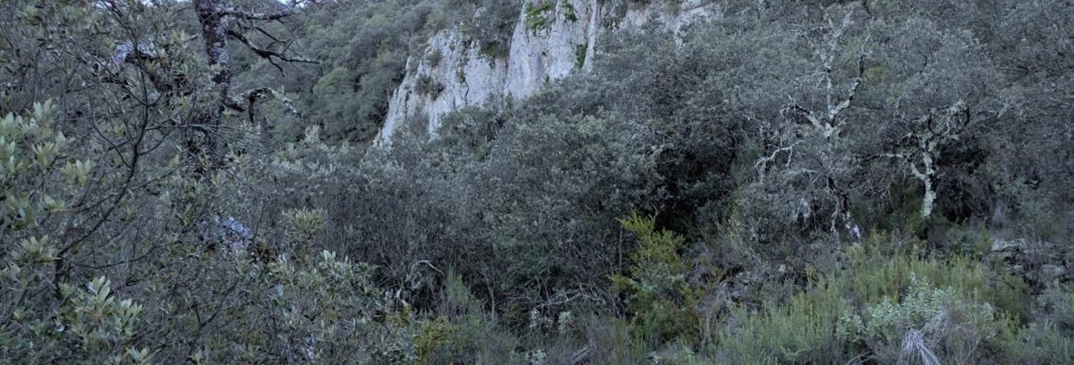 Photo N° 2