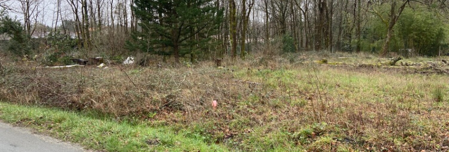 Terrain  900 m² à vendre à Bazas (33430)