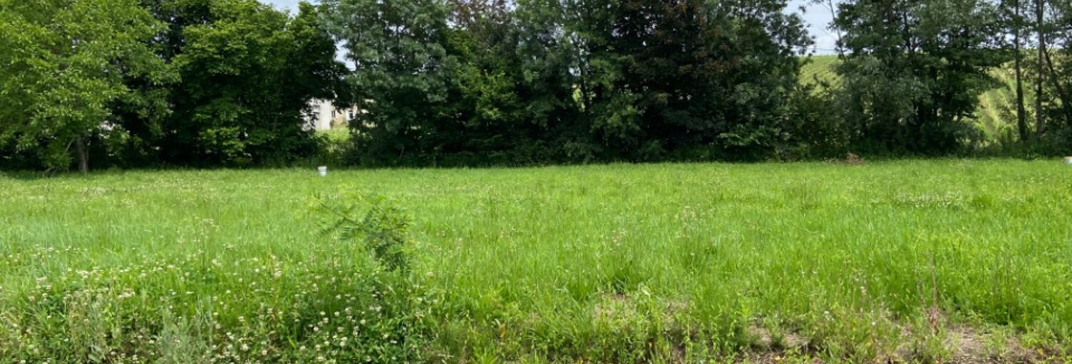 Terrain  600 m² à vendre à La Brède (33650)