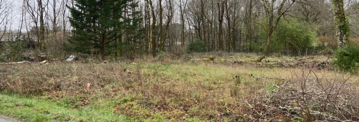 Terrain  700 m² à vendre à Saucats (33650)