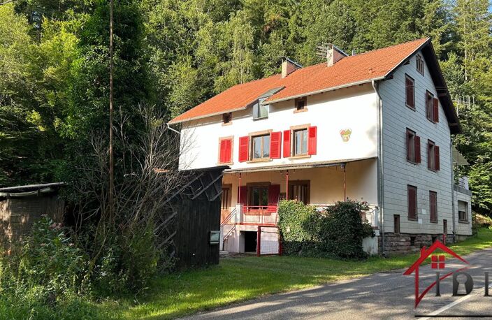 PUBERG   PROPRIÉTÉ ATYPIQUE 292 M2   2 LOGEMENTS   6 800 M2 — photo 2