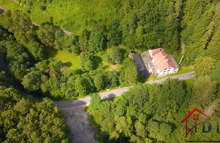 PUBERG   PROPRIÉTÉ ATYPIQUE 292 M2   2 LOGEMENTS   6 800 M2 — photo 3