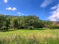 Terrain plat 1301 m2 constructible au calme — photo 2