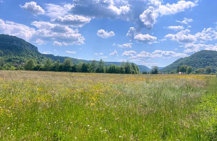 Terrain plat 1301 m2 constructible au calme — photo 3
