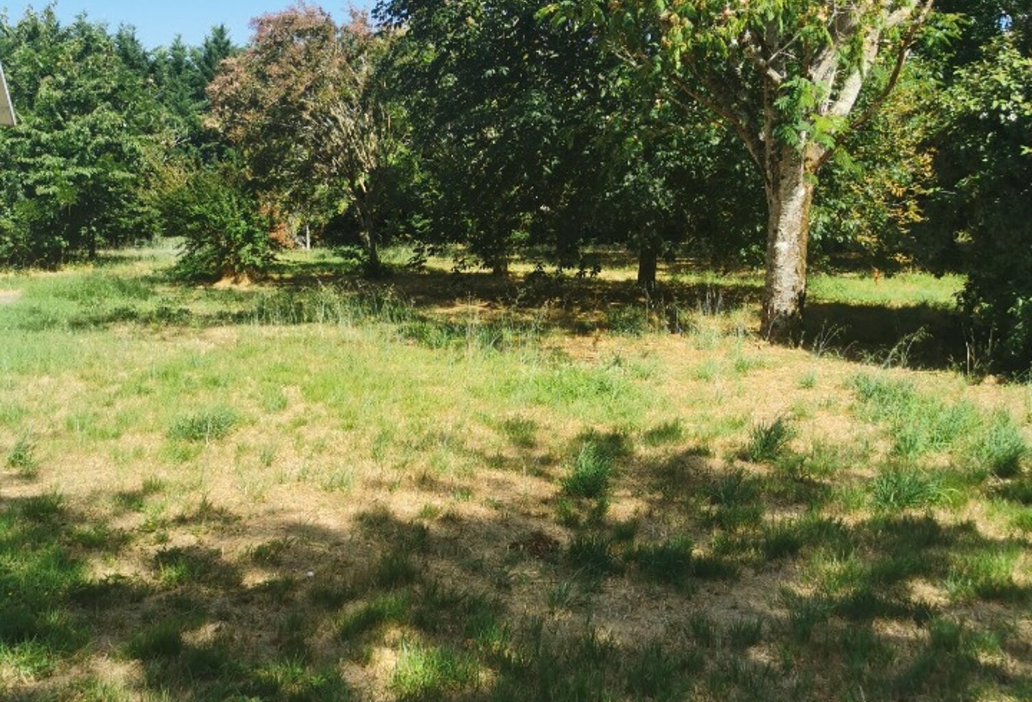 Terrain à bâtir à Roaillan (33210) — photo 1