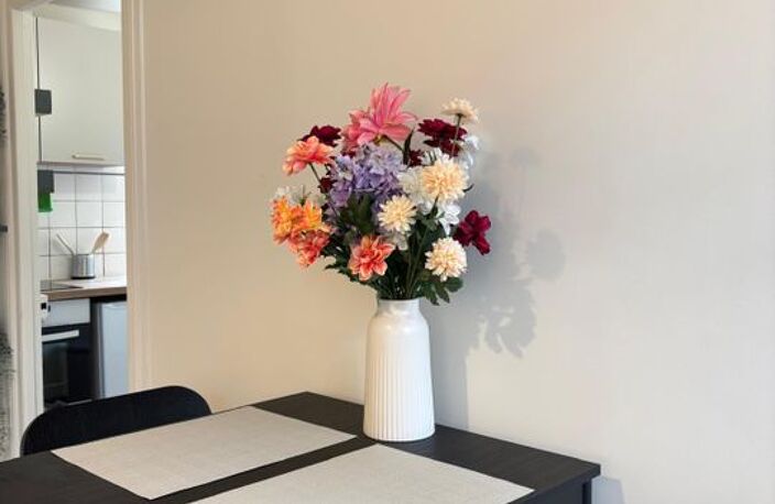 Appartement de 31m2 à louer sur Septeuil — photo 3