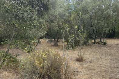 Terrain  210000 €